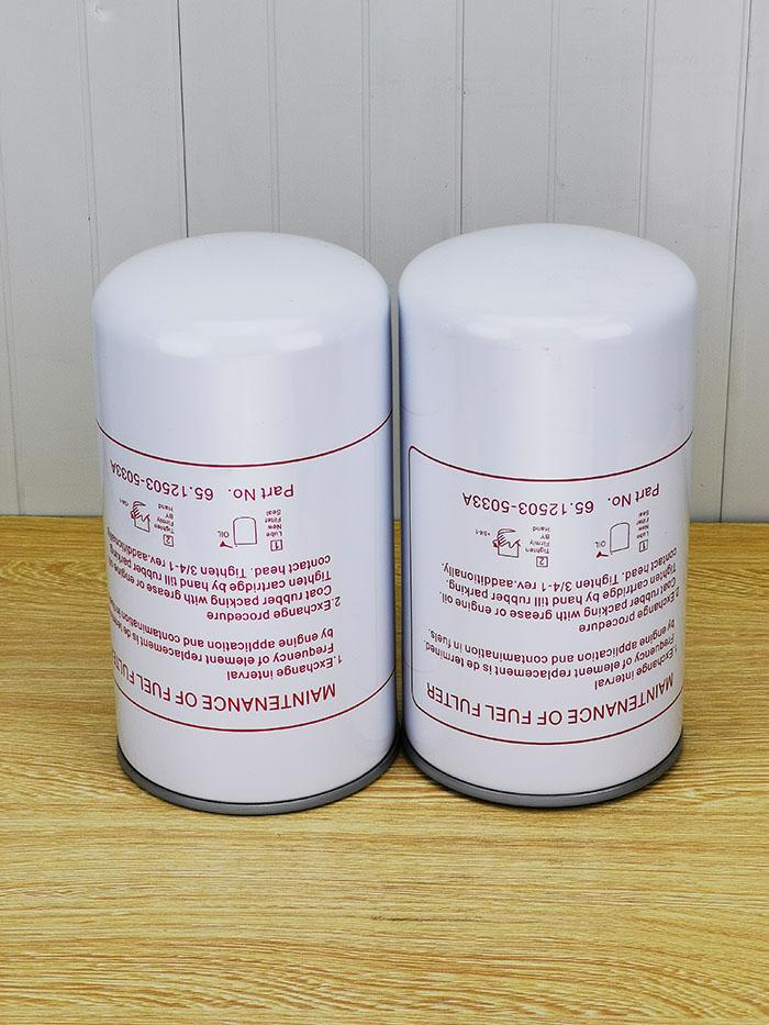 HYUNDAI 现代65.12503 (1)